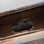 Air duct cleaning Columbia Heights
